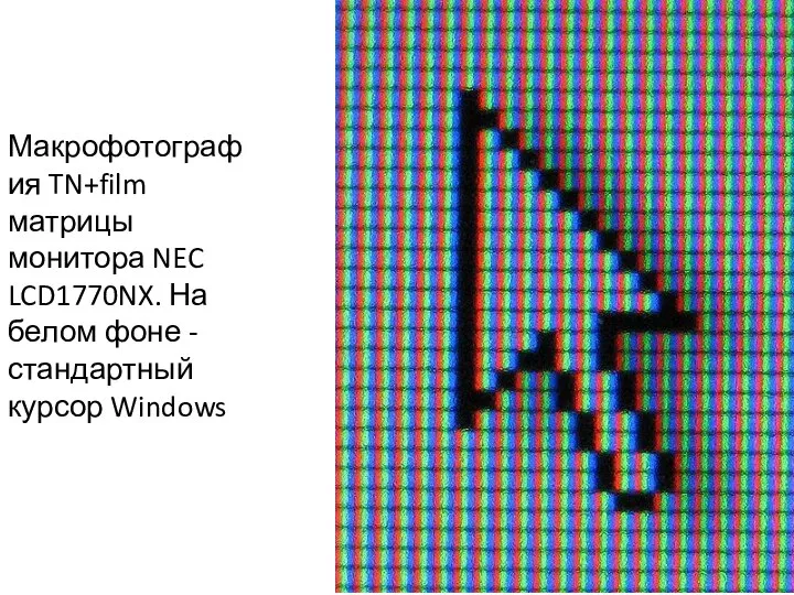Макрофотография TN+film матрицы монитора NEC LCD1770NX. На белом фоне - стандартный курсор Windows