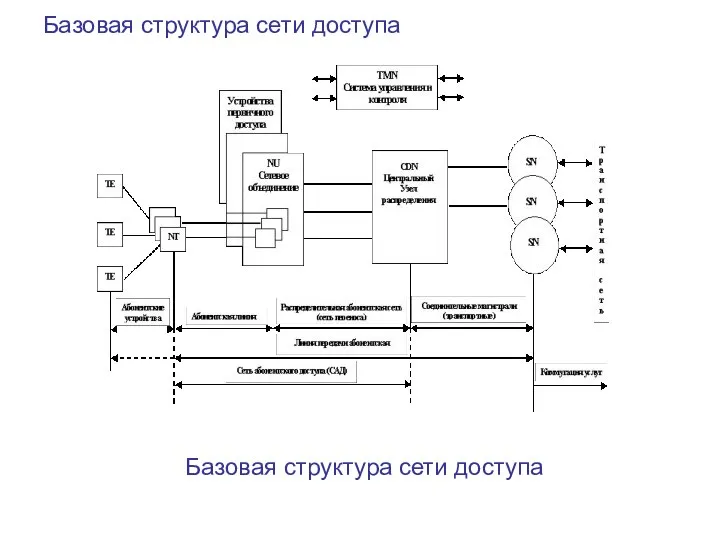 Базовая структура сети доступа Базовая структура сети доступа