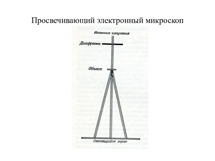 Просвечивающий электронный микроскоп