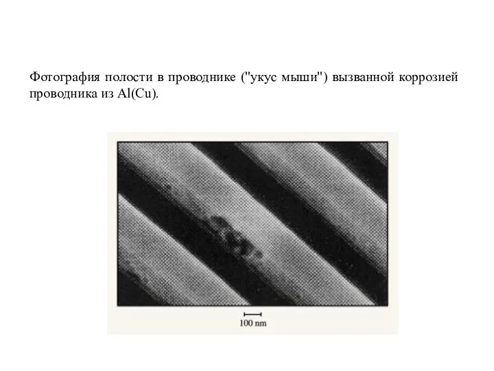 Фотография полости в проводнике ("укус мыши") вызванной коррозией проводника из Al(Cu).