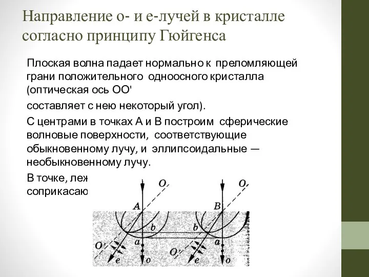 Направление о- и е-лучей в кристалле согласно принципу Гюйгенса Плоская волна