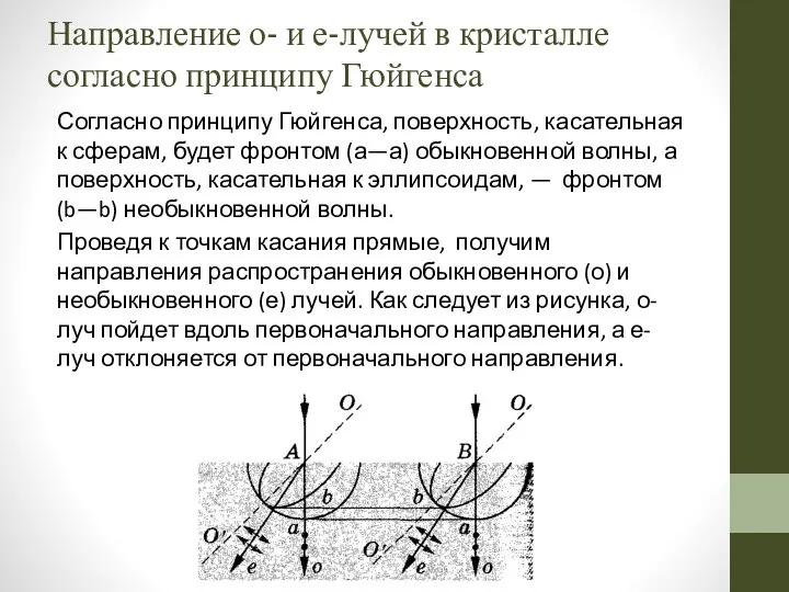 Согласно принципу Гюйгенса, поверхность, касательная к сферам, будет фронтом (а—а) обыкновенной