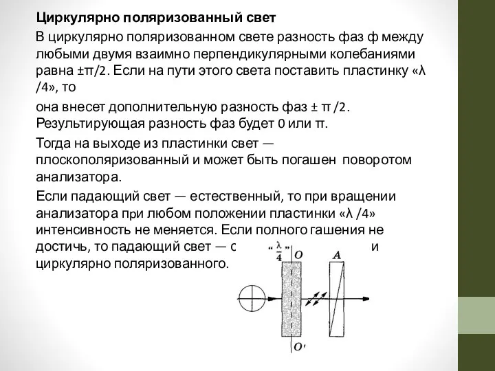 Циркулярно поляризованный свет В циркулярно поляризованном свете разность фаз ф между