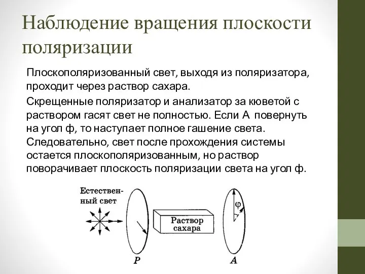 Наблюдение вращения плоскости поляризации Плоскополяризованный свет, выходя из поляризатора, проходит через