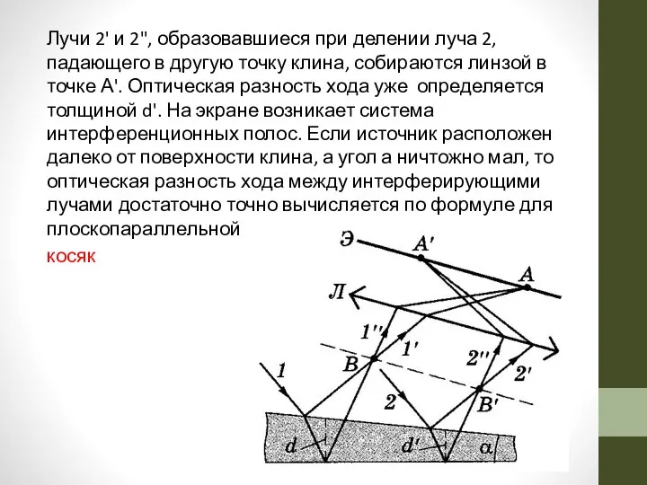 Лучи 2' и 2", образовавшиеся при делении луча 2, падающего в