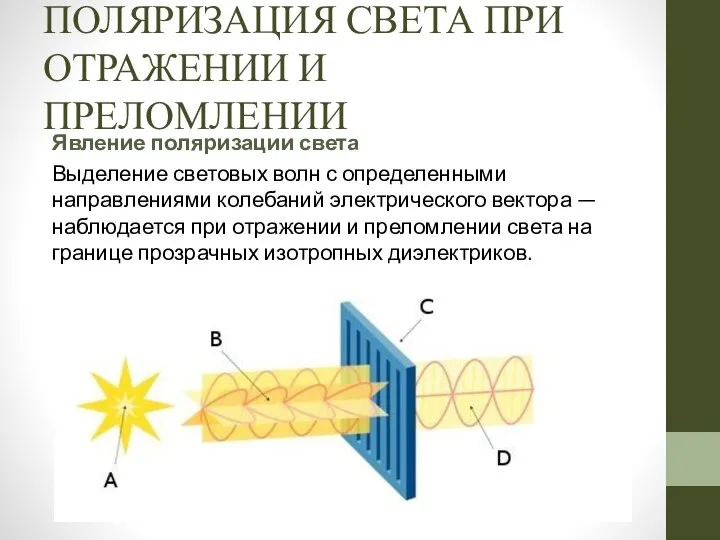 ПОЛЯРИЗАЦИЯ СВЕТА ПРИ ОТРАЖЕНИИ И ПРЕЛОМЛЕНИИ Явление поляризации света Выделение световых