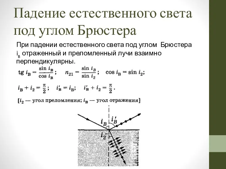 Падение естественного света под углом Брюстера При падении естественного света под