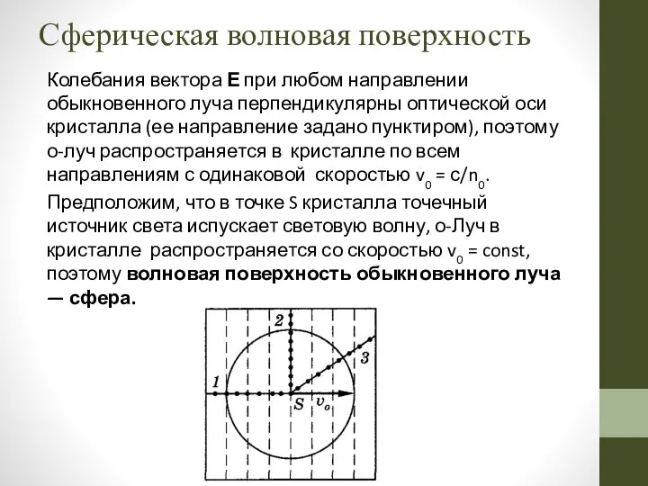 Сферическая волновая поверхность Колебания вектора Е при любом направлении обыкновенного луча