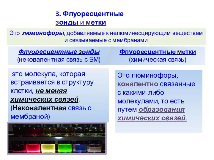 3. Флуоресцентные зонды и метки Это люминофоры, добавляемые к нелюминесцирующим веществам