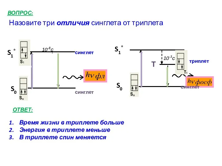 Назовите три отличия синглета от триплета ВОПРОС: синглет S0 S1* S1*