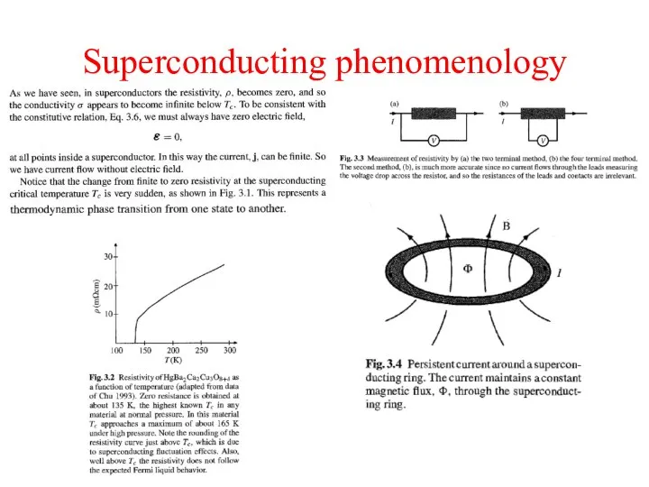 Superconducting phenomenology