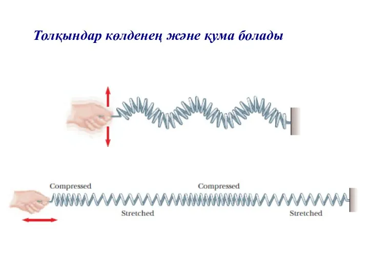 Толқындар көлденең және қума болады