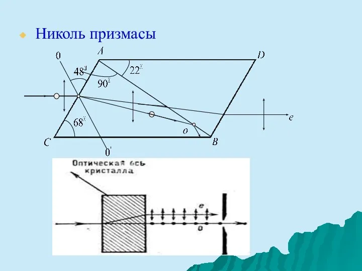 Николь призмасы