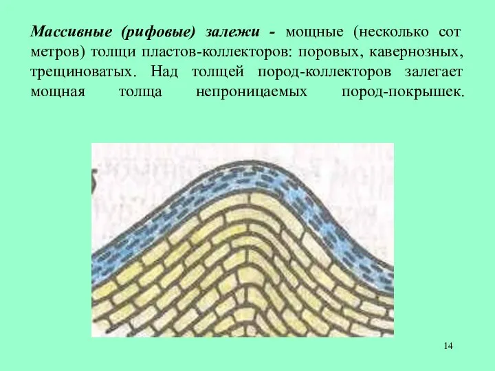 Массивные (рифовые) залежи - мощные (несколько сот метров) толщи пластов-коллекторов: поровых,