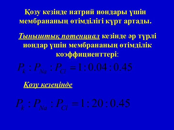 Қозу кезінде натрий иондары үшін мембрананың өтімділігі күрт артады. Қозу кезеңінде