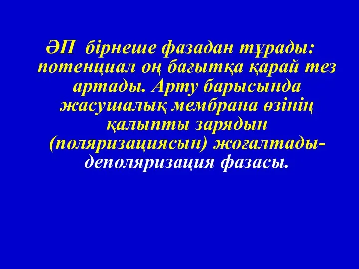 ӘП бірнеше фазадан тұрады: потенциал оң бағытқа қарай тез артады. Арту