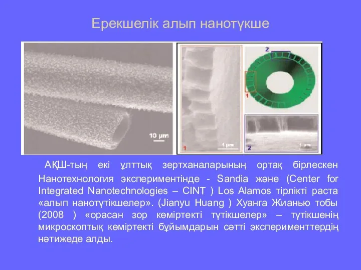 Ерекшелiк алып нанотүкше АҚШ-тың екi ұлттық зертханаларының ортақ бiрлескен Нанотехнология экспериментінде