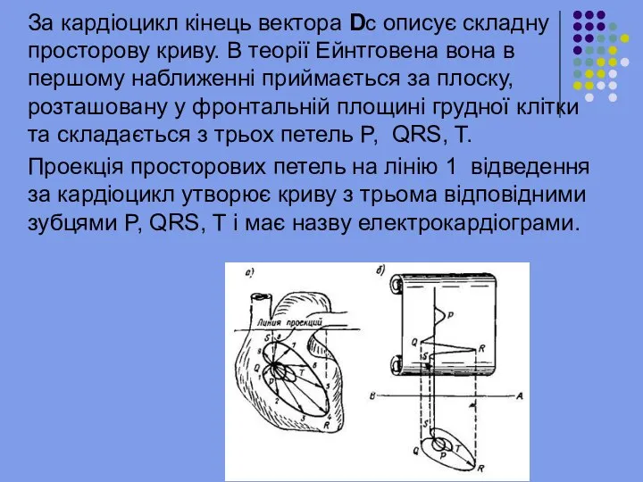 За кардіоцикл кінець вектора Dc описує складну просторову криву. В теорії