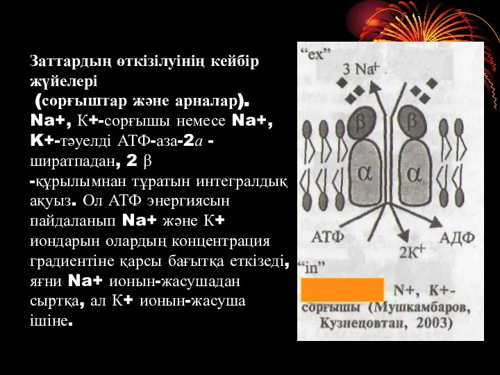 Заттардың өткізілуінің кейбір жүйелері (сорғыштар және арналар). Na+, К+-сорғышы немесе Na+,