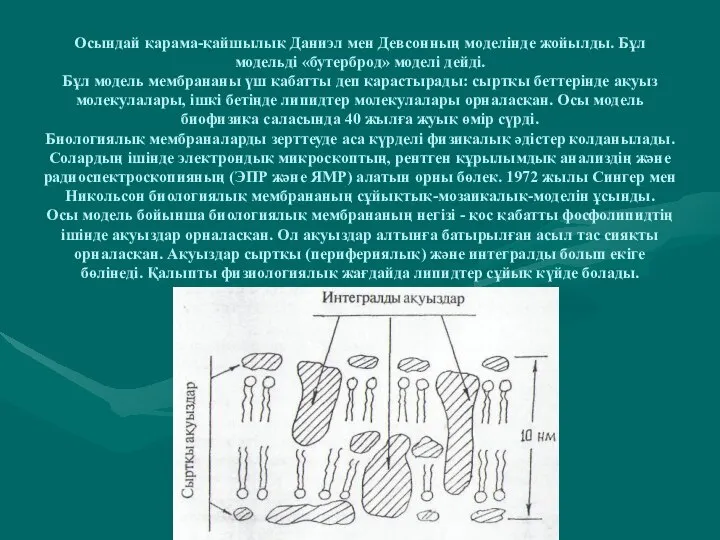 Осындай қарама-қайшылық Даниэл мен Девсонның моделінде жойылды. Бұл модельді «бутерброд» моделі