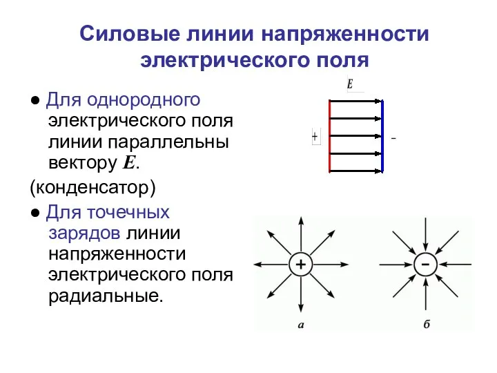 Силовые линии напряженности электрического поля ● Для однородного электрического поля линии