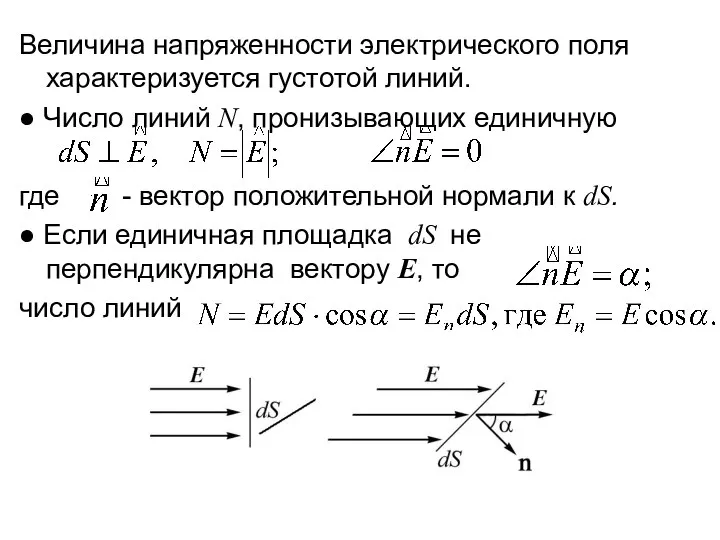 Величина напряженности электрического поля характеризуется густотой линий. ● Число линий N,