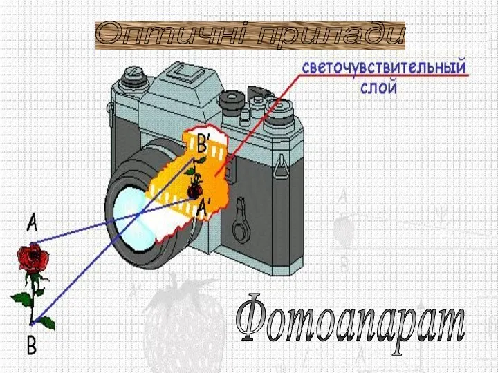 Оптичні прилади Фотоапарат