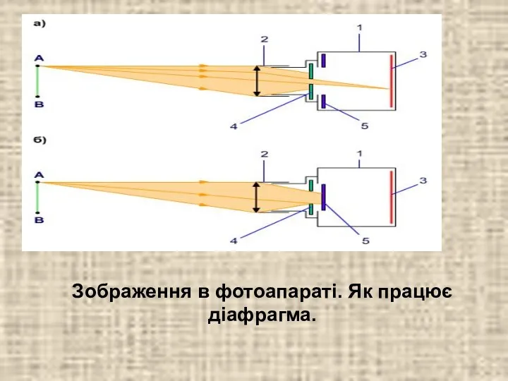 Зображення в фотоапараті. Як працює діафрагма.