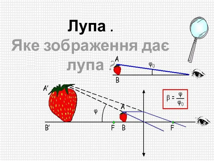 Лупа . Яке зображення дає лупа ?