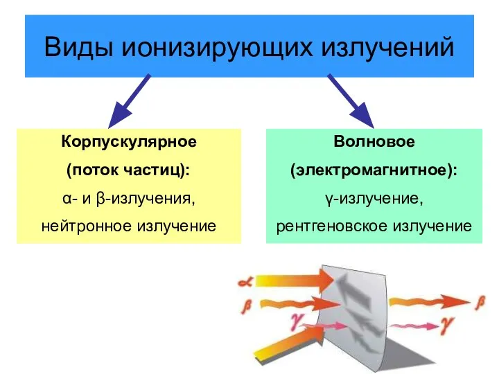 Виды ионизирующих излучений Корпускулярное (поток частиц): α- и β-излучения, нейтронное излучение Волновое (электромагнитное): γ-излучение, рентгеновское излучение