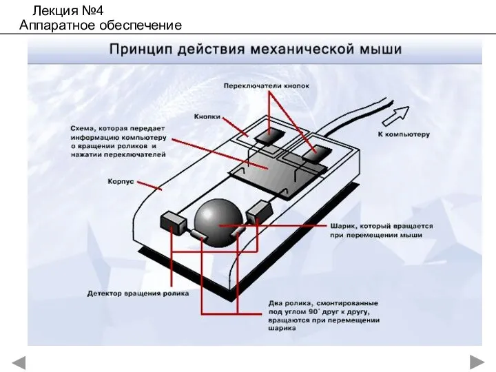 Лекция №4 Аппаратное обеспечение