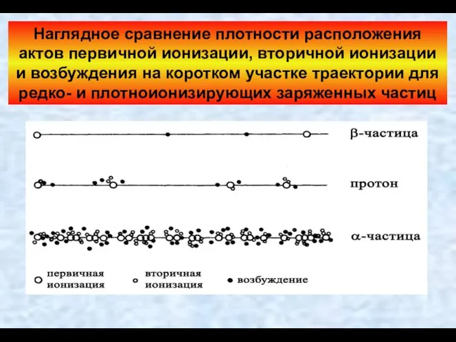 Наглядное сравнение плотности расположения актов первичной ионизации, вторичной ионизации и возбуждения