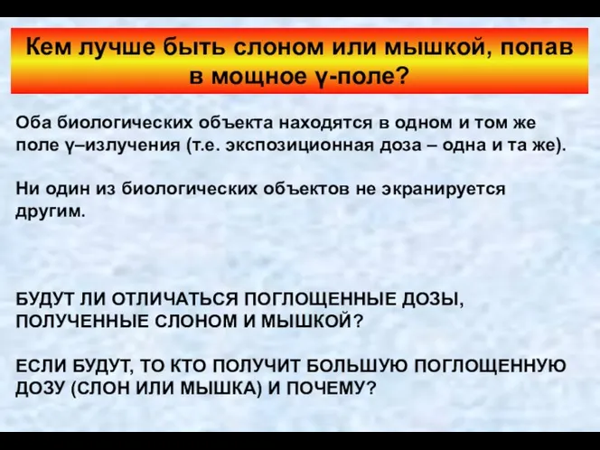 Оба биологических объекта находятся в одном и том же поле γ–излучения