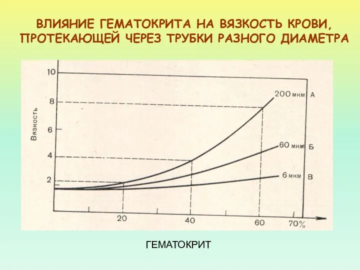 ВЛИЯНИЕ ГЕМАТОКРИТА НА ВЯЗКОСТЬ КРОВИ, ПРОТЕКАЮЩЕЙ ЧЕРЕЗ ТРУБКИ РАЗНОГО ДИАМЕТРА ГЕМАТОКРИТ