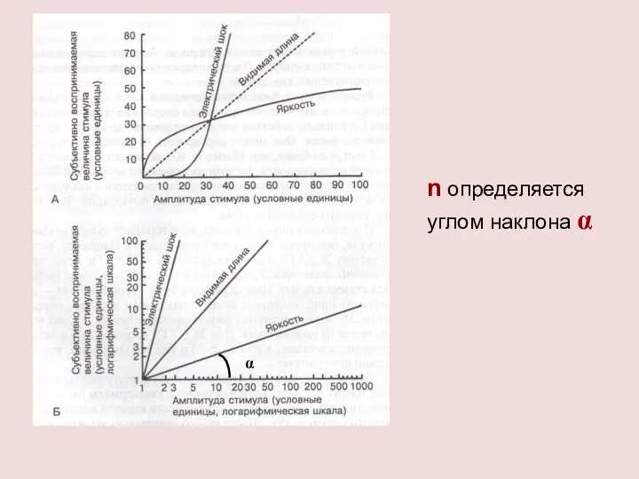 n определяется углом наклона α