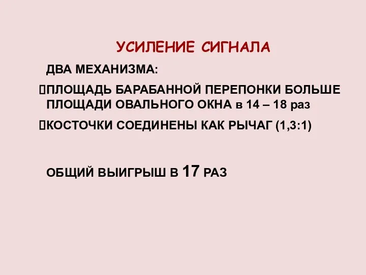 УСИЛЕНИЕ СИГНАЛА ДВА МЕХАНИЗМА: ПЛОЩАДЬ БАРАБАННОЙ ПЕРЕПОНКИ БОЛЬШЕ ПЛОЩАДИ ОВАЛЬНОГО ОКНА