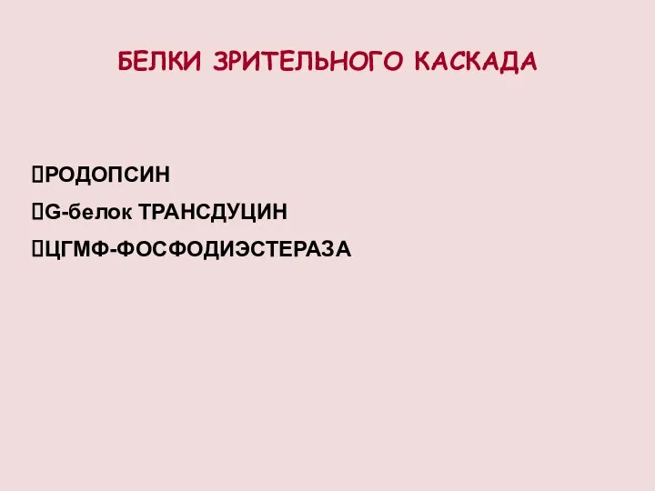 БЕЛКИ ЗРИТЕЛЬНОГО КАСКАДА РОДОПСИН G-белок ТРАНСДУЦИН ЦГМФ-ФОСФОДИЭСТЕРАЗА