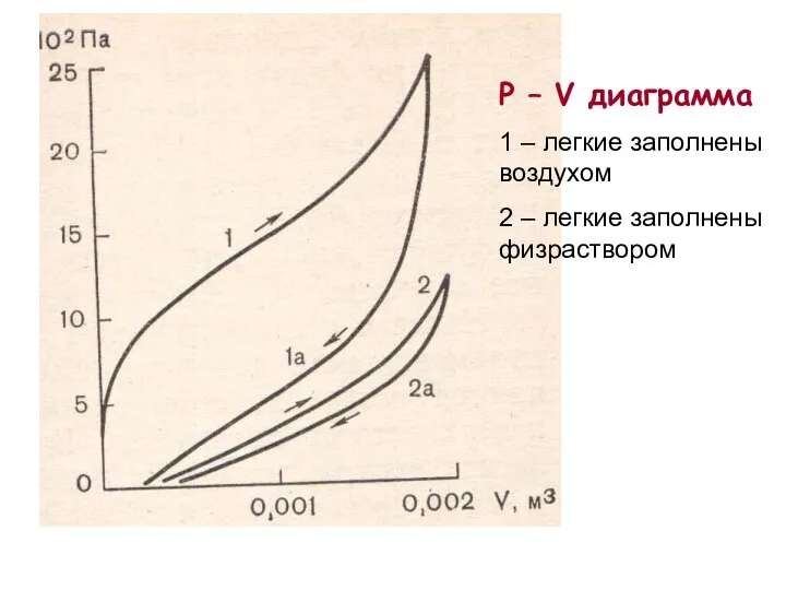 P – V диаграмма 1 – легкие заполнены воздухом 2 – легкие заполнены физраствором