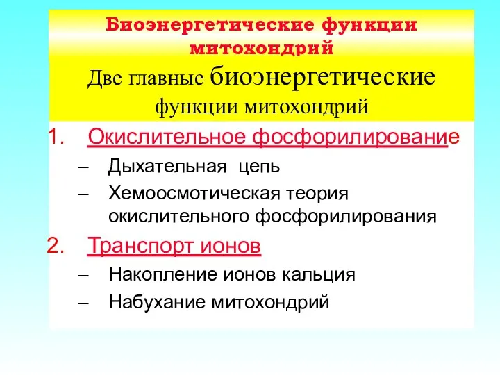 Биоэнергетические функции митохондрий Окислительное фосфорилирование Дыхательная цепь Хемоосмотическая теория окислительного фосфорилирования