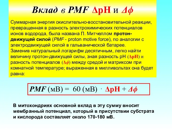 Вклад в PMF ΔpH и Δϕ Суммарная энергия окислительно-восстановительной реакции, превращенная