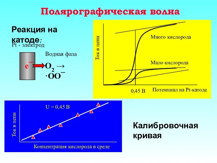 Полярографическая волна