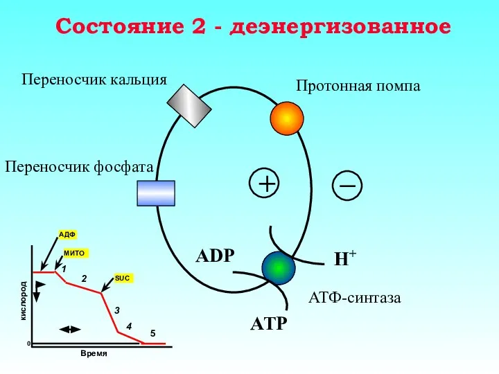 Состояние 2 - деэнергизованное