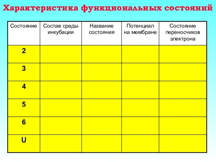 Характеристика функциональных состояний