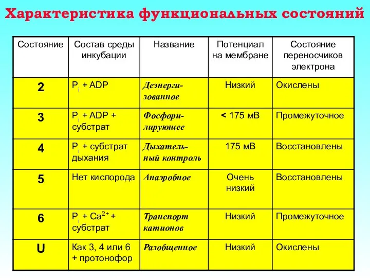 Характеристика функциональных состояний