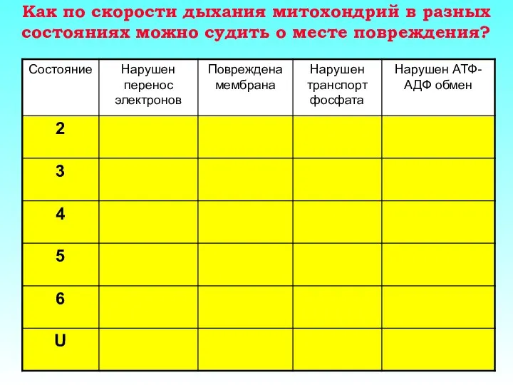 Как по скорости дыхания митохондрий в разных состояниях можно судить о месте повреждения?