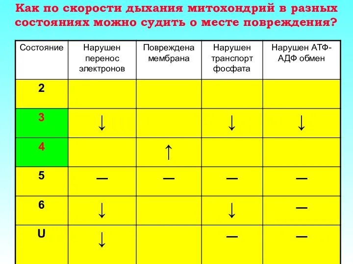 Как по скорости дыхания митохондрий в разных состояниях можно судить о месте повреждения?