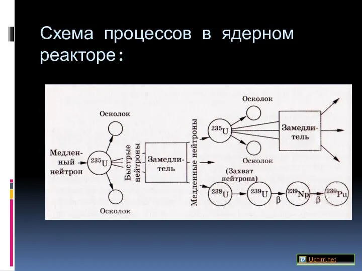 Схема процессов в ядерном реакторе: