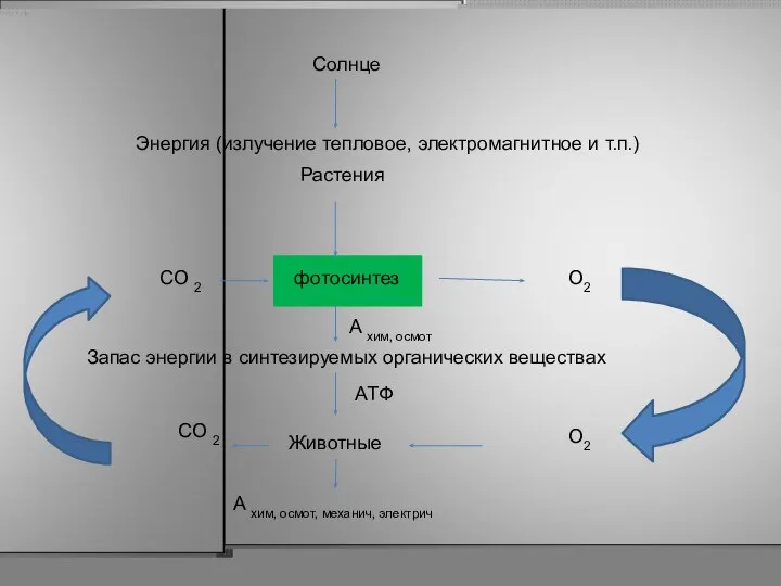 Солнце Энергия (излучение тепловое, электромагнитное и т.п.) Растения фотосинтез СО 2