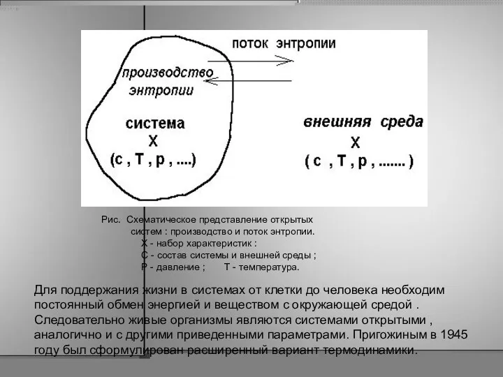 Для поддержания жизни в системах от клетки до человека необходим постоянный