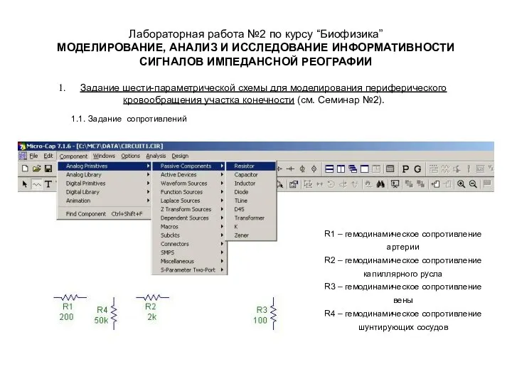 Лабораторная работа №2 по курсу “Биофизика” МОДЕЛИРОВАНИЕ, АНАЛИЗ И ИССЛЕДОВАНИЕ ИНФОРМАТИВНОСТИ